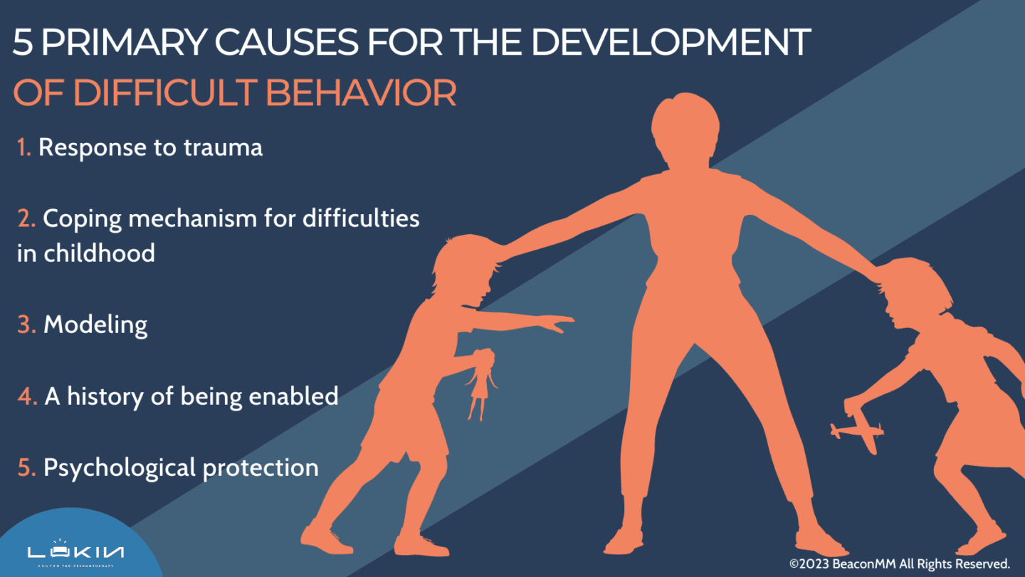 5 Primary Causes for the Development of Difficult Behavior Infographic