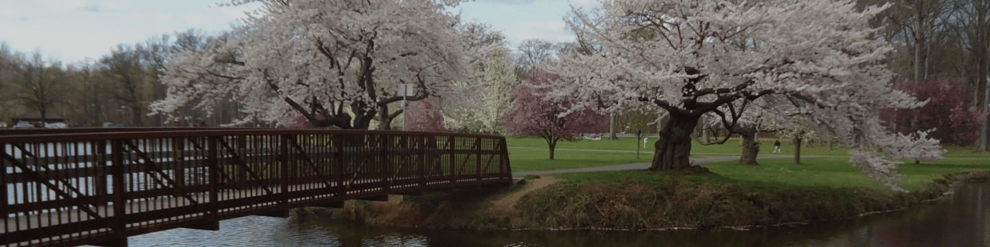 Lukin Center at Cranford